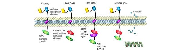 CAR-T behandling for kræft6