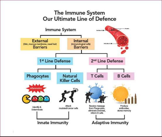 CAR-T Treatment for Cancer