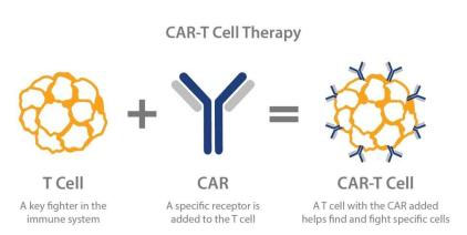 CAR-T Treatment for Cancer4